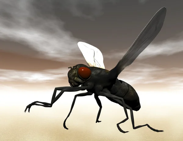 Цифровая муха — стоковое фото