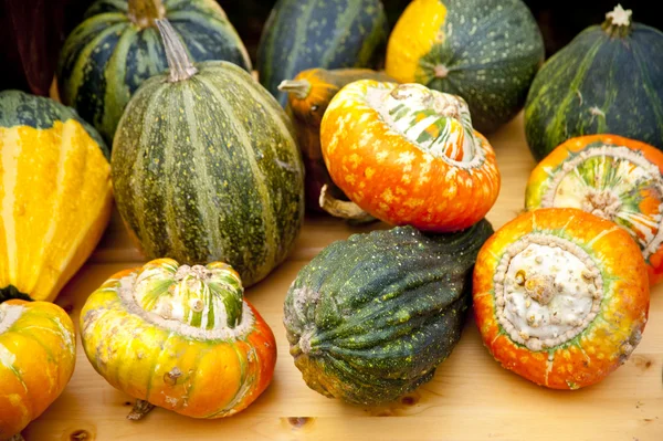 stock image Pumpkins