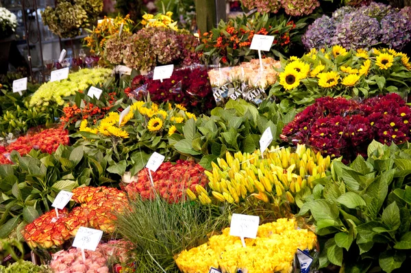 Mercado de flores em Amsterdam — Fotografia de Stock