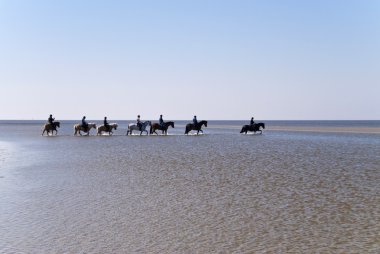 Beach of St. Peter-Ording clipart