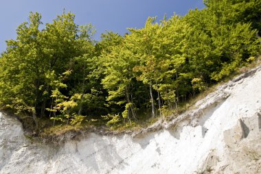 Rügen Adası