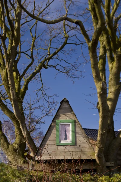 Дом на дереве — стоковое фото