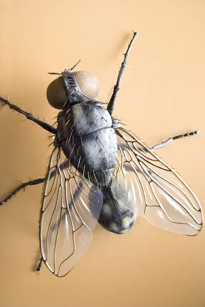 Detailed model of a housefly — Stock Photo, Image