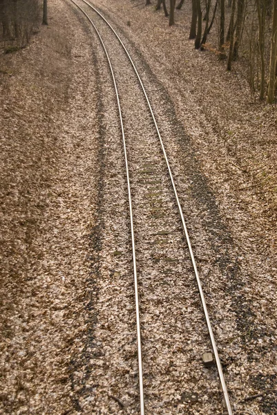 Rails — Stock Photo, Image