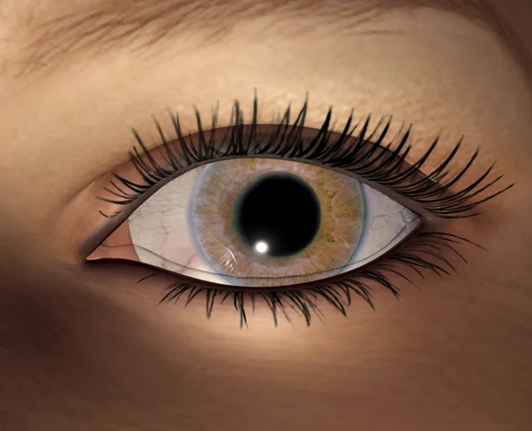 Digital visualization of female eye — Zdjęcie stockowe