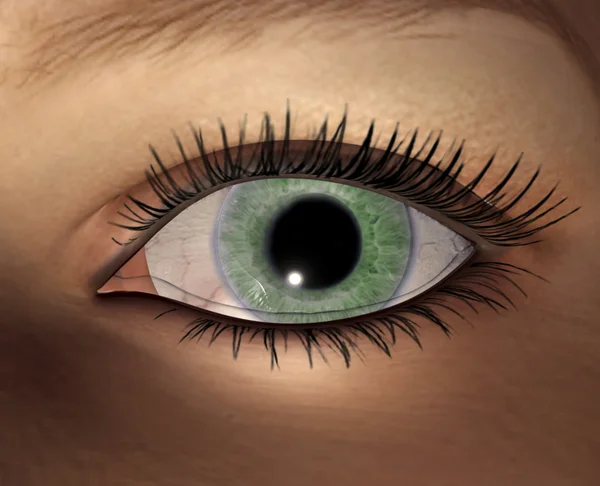 Ψηφιακή απεικόνιση του γυναικείου μάτι — Φωτογραφία Αρχείου