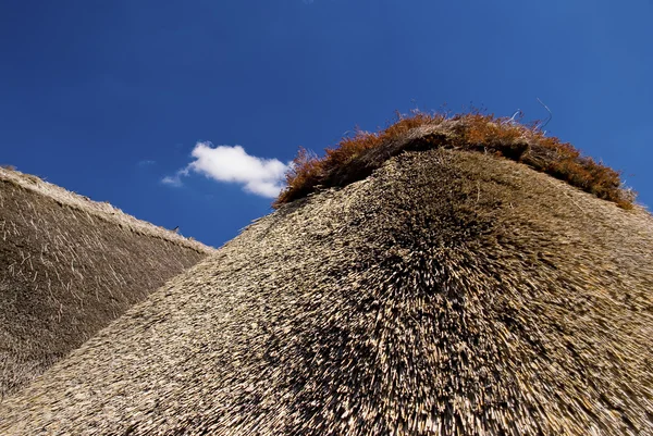 Thatched roof — Stock Photo, Image