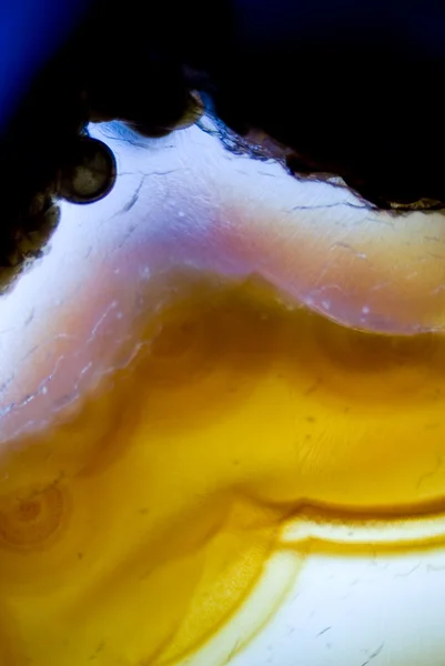 stock image Agate