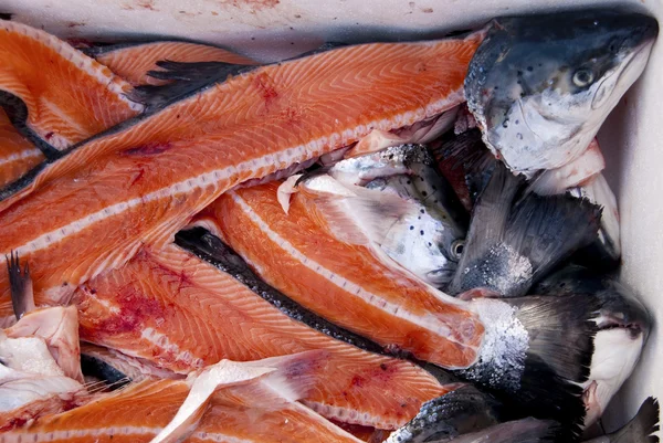 Salmons — Stok fotoğraf