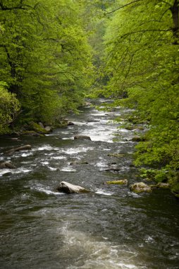 Harz Dağları, Almanya