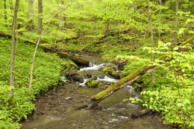 Harz Dağları, Almanya