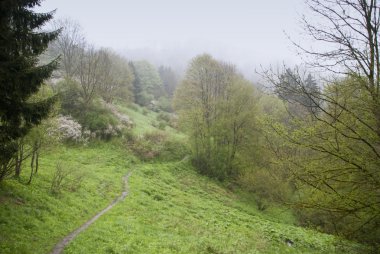 Harz Dağları, Almanya