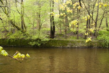 Harz Dağları, Almanya