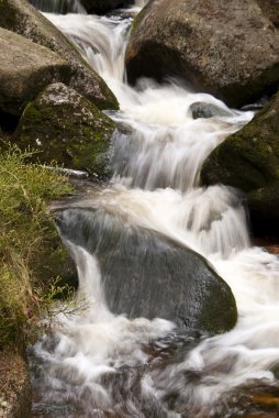 Harz Mountains, Germany clipart