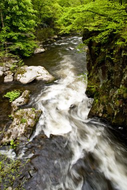 harz Dağları