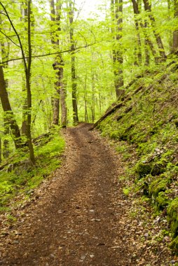 harz Dağları