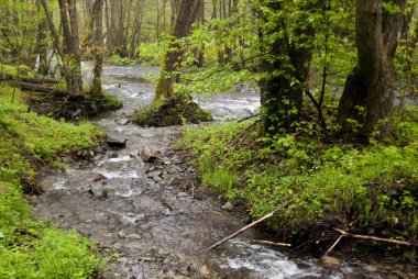 harz Dağları