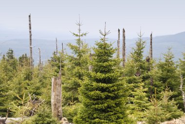 harz Dağları