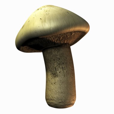 Mushroom clipart