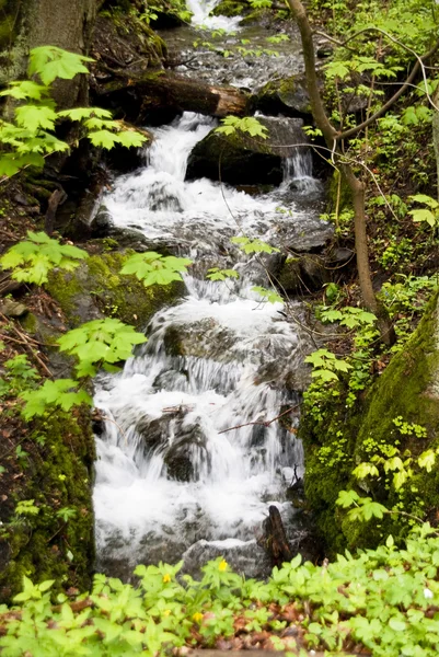 Waterfall in Harz Mountains, Germany — Stock Photo, Image