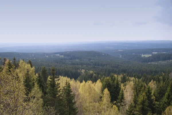 Harz Dağları, Almanya — Stok fotoğraf