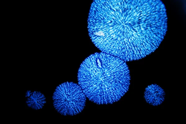Μικροκρύσταλλοι ασκορβικού οξέος σε πολωμένο φως — Φωτογραφία Αρχείου