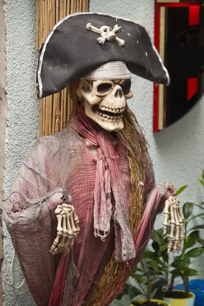 stock image Pirate