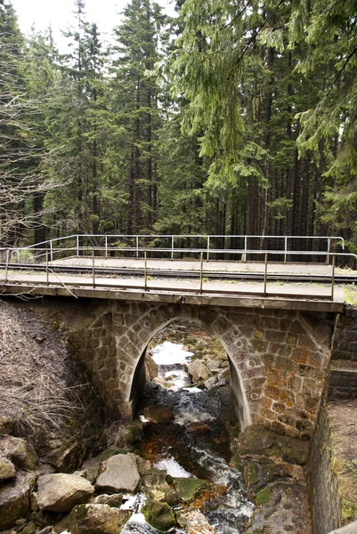 stock image In the Harz Mountains