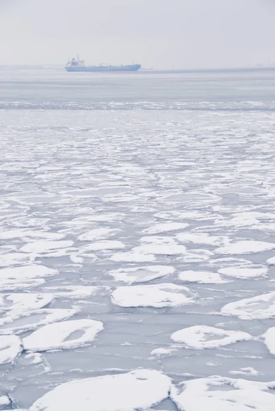 Pack-ice — Stock Photo, Image