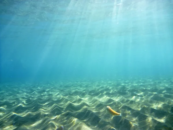 Underwater — Stock Photo, Image