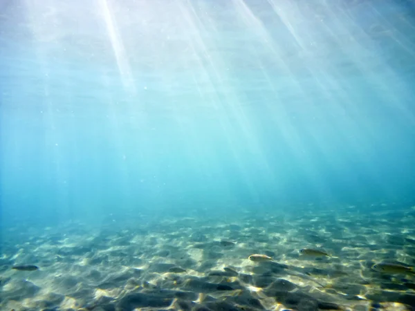 Sous l'eau — Photo