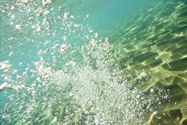 水中 — ストック写真