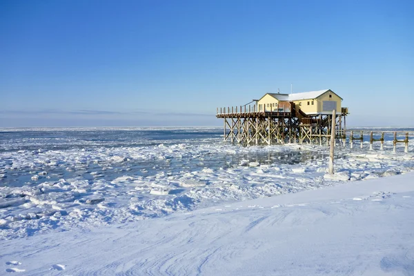 Strand van st. peter-ording in de winter — Stockfoto