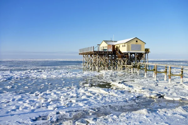 Strand van st. peter-ording in de winter — Stockfoto