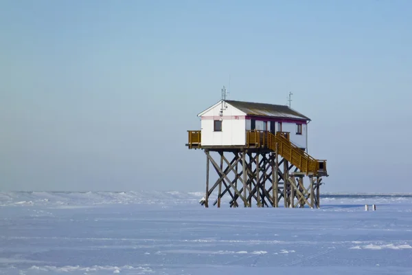 Пляж Св. Петра-Ординга зимой — стоковое фото