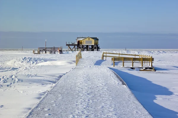 Beach of St. Peter-Ording in winter — Stock Photo, Image