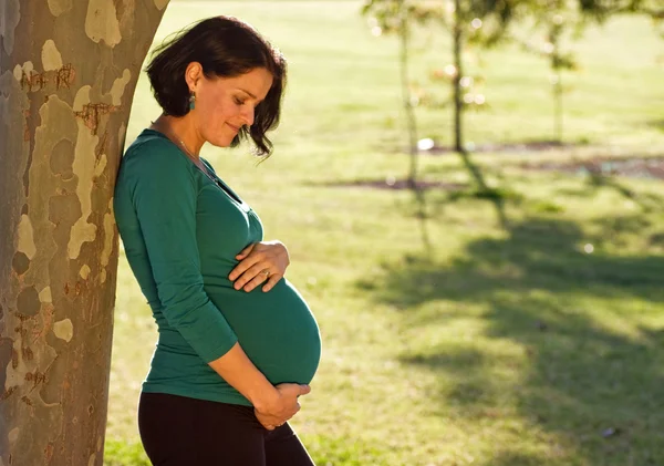 Boldog terhes nők — Stock Fotó