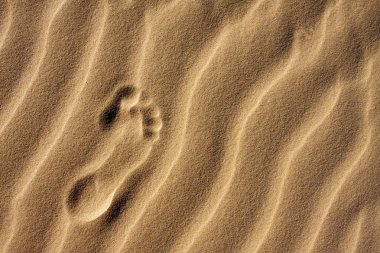 FOOTPRINT IN THE SAND clipart