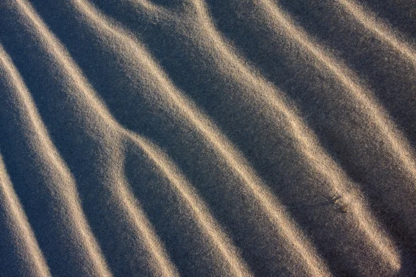 砂丘砂の波紋 — ストック写真