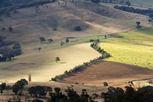 AUSTRALIAN LANDSCAPE AND AGRICULTURE FIELDS — Stock Photo, Image