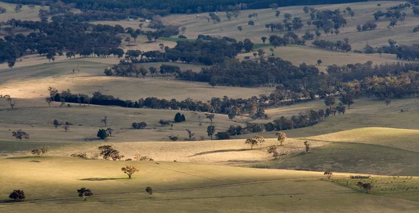 Australische Landschaft und landwirtschaftliche Felder — Stockfoto