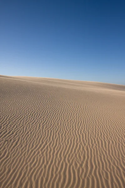 Deserto — Foto Stock