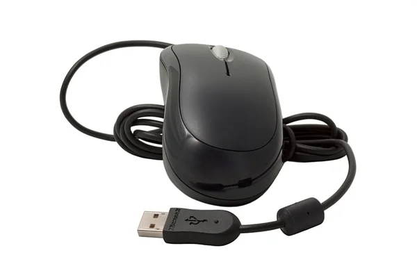 stock image The computer mouse