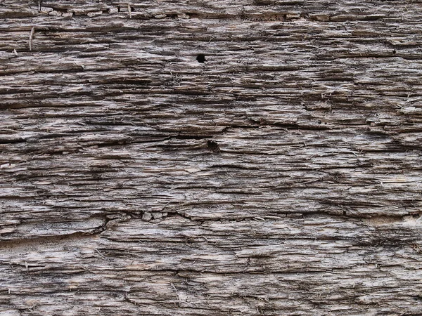 Gri odun dokusu — Stok fotoğraf