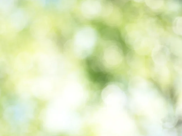 stock image Green natural bokeh