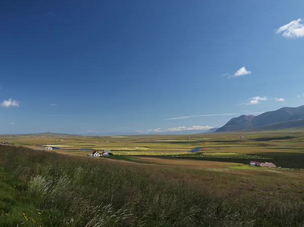 Un paisaje en Islandia — Foto de Stock
