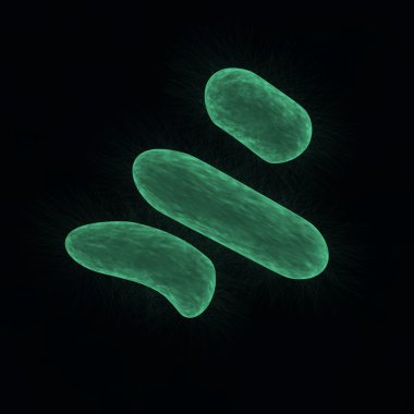 Bakteriler