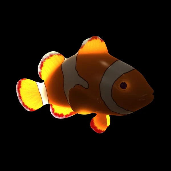 Anemone fish — Stock Photo, Image