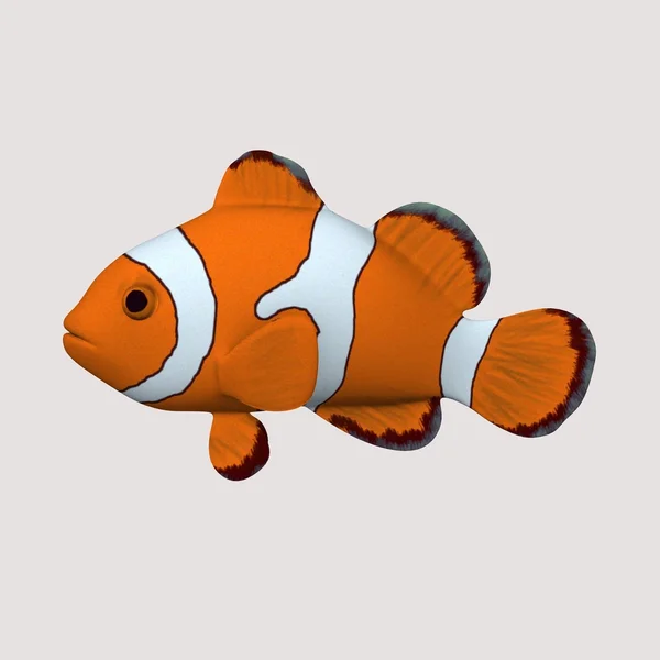 Pesce pompelmo — Foto Stock
