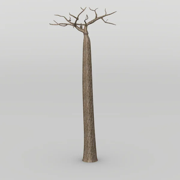 Baobab-Baum — Stockfoto